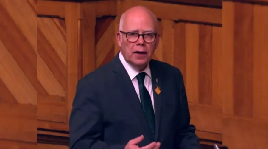 N.B. Green party leader stepping down