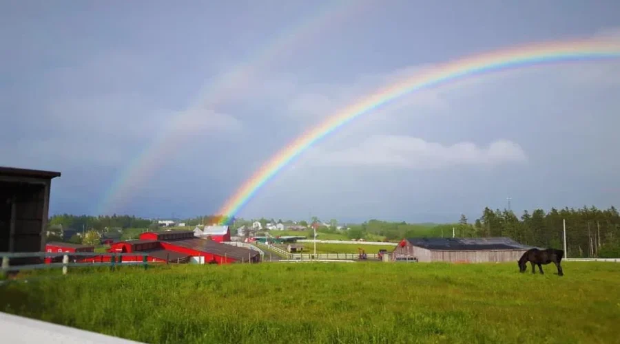 Ottawa launches first-ever National Food Security Strategy