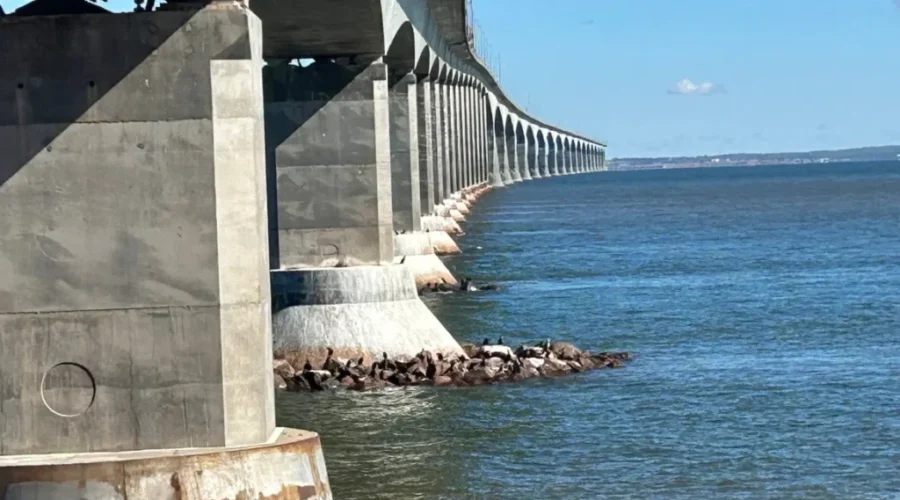 Confederation Bridge construction project complete