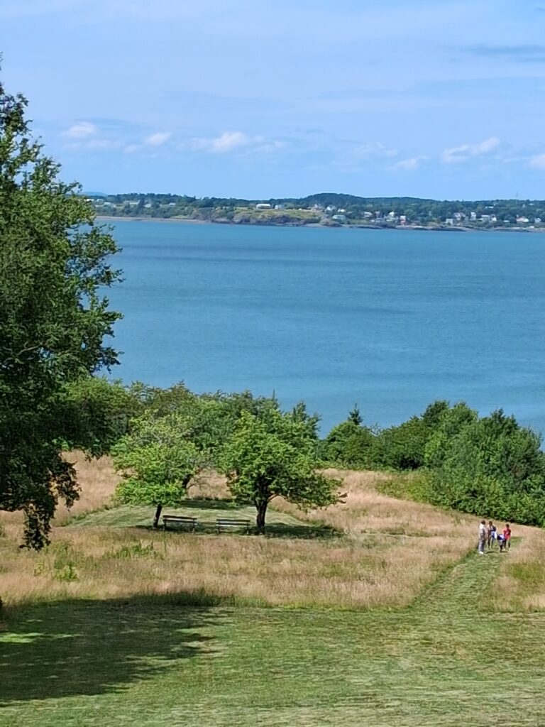 Looking out from the cottage toward Eastport Maine.