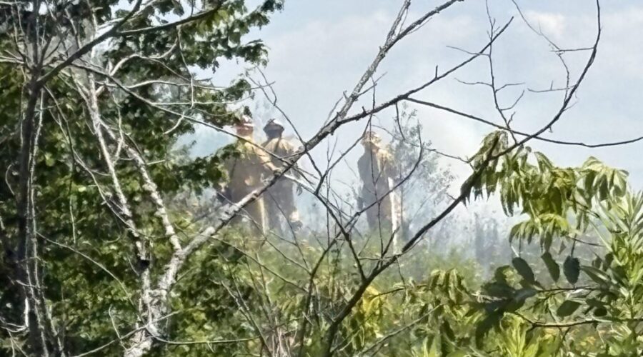 Small fire in Moncton wooded area extinguished quickly