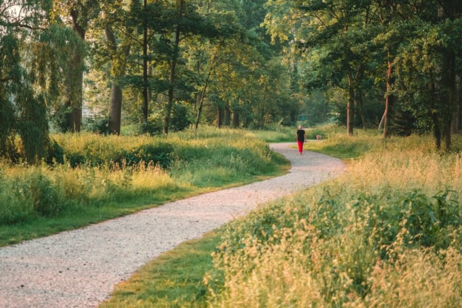 Summer in Greater Moncton: Free Stuff To Do