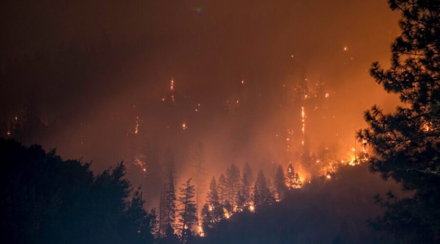 N.B. firefighters battling Quebec wildfires