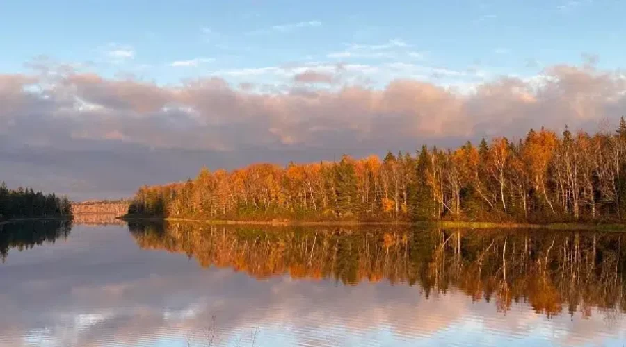 Irishtown Nature Park reservoir closed due to cyanobacteria