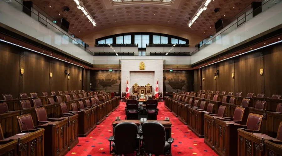 PM appoints N.B. doctor to Senate, makes changes to appointment process