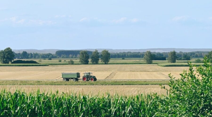 Agricultural Alliance of New Brunswick launches new website to address workforce challenges